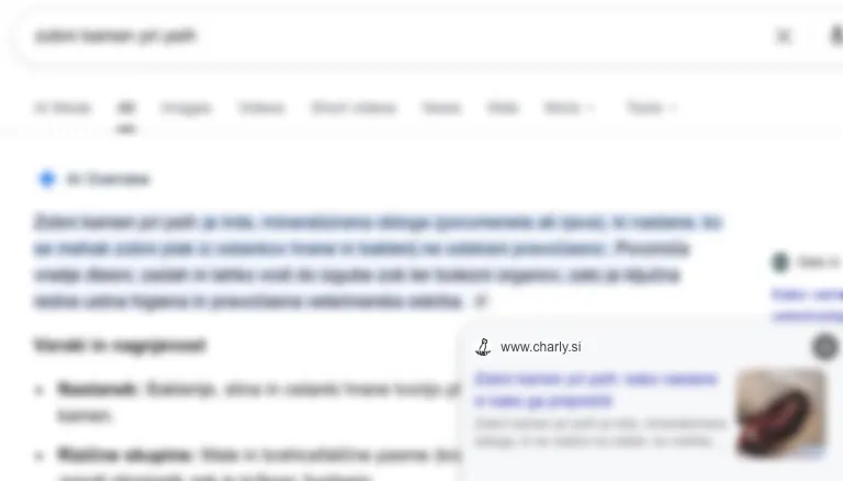 Google AI Overview citing Charly.si as a connected resource for a Slovenian pet health query.