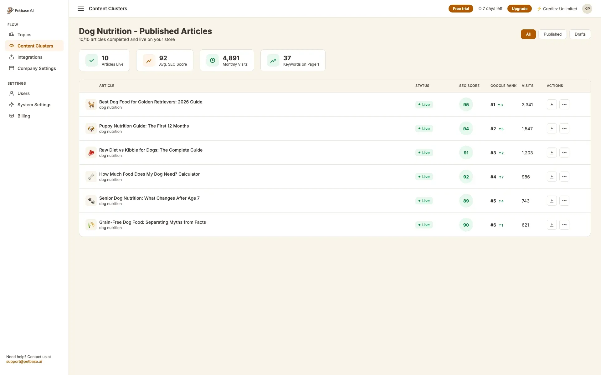 Published articles table with live status, SEO scores 89-95, Google ranks, and monthly visit stats